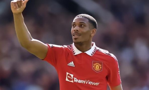 无疑证明了 无疑证明了